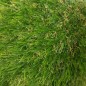 IDGREEN 35mm Gazon Synthétique